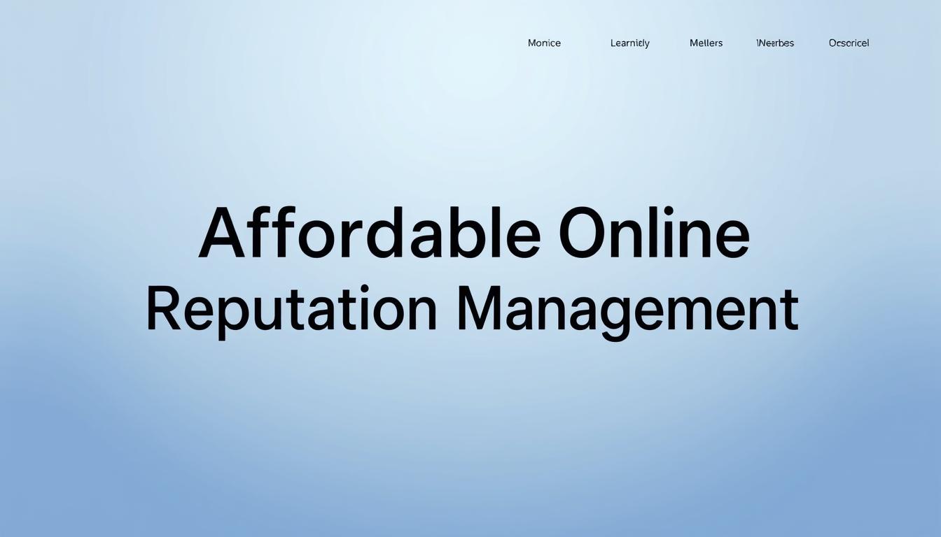 affordable online reputation management